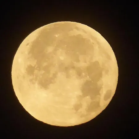 Gut-rattelvitz-parterre-b-hochwertig-sauna-kamin-etankstelle-spielscheune-15-000qm-parkland *