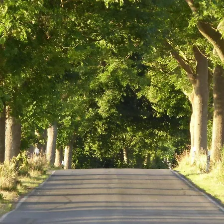 Gut-rattelvitz-parterre-b-hochwertig-sauna-kamin-etankstelle-spielscheune-15-000qm-parkland