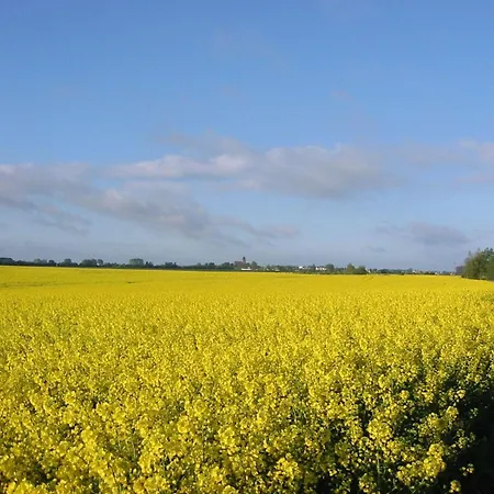 Gut-rattelvitz-parterre-b-hochwertig-sauna-kamin-etankstelle-spielscheune-15-000qm-parkland דירה Gingst