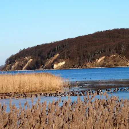 דירה Gut-rattelvitz-parterre-b-hochwertig-sauna-kamin-etankstelle-spielscheune-15-000qm-parkland