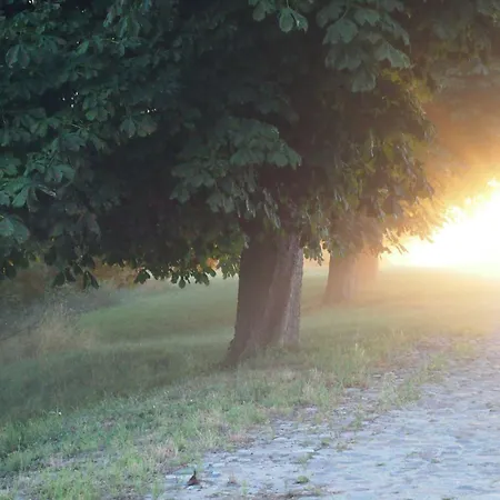 דירה Gut-rattelvitz-parterre-b-hochwertig-sauna-kamin-etankstelle-spielscheune-15-000qm-parkland *