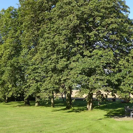 Gut-rattelvitz-parterre-b-hochwertig-sauna-kamin-etankstelle-spielscheune-15-000qm-parkland דירה Gingst