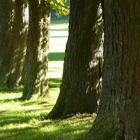 דירה Gut-rattelvitz-parterre-b-hochwertig-sauna-kamin-etankstelle-spielscheune-15-000qm-parkland *