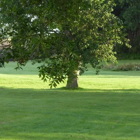 Gut-rattelvitz-parterre-b-hochwertig-sauna-kamin-etankstelle-spielscheune-15-000qm-parkland דירה Gingst