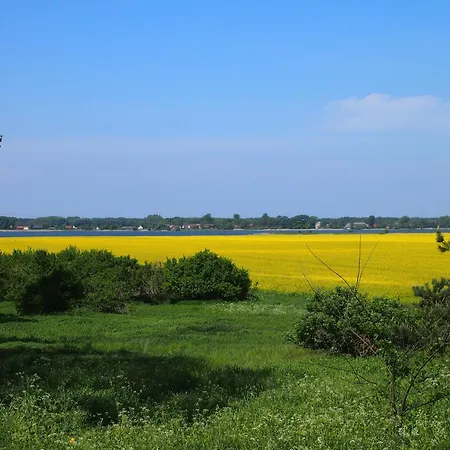 Gut-rattelvitz-parterre-b-hochwertig-sauna-kamin-etankstelle-spielscheune-15-000qm-parkland דירה Gingst